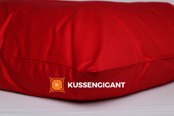 Leefkussen 100 x 140 Leefkussen 100 x 140