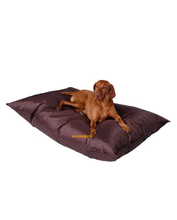 Lazy Dogbag donkerbruin met binnenkussen