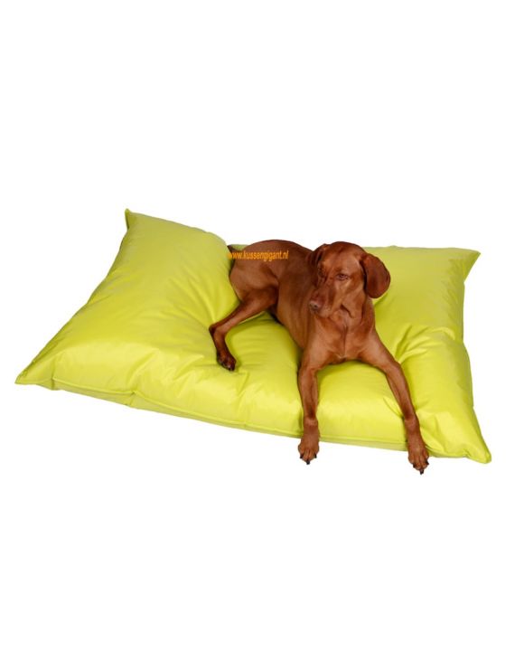 Lazy Dogbag lime met binnenkussen