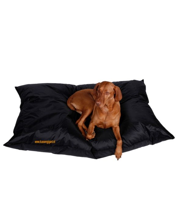 Lazy Dogbag zwart met binnenkussen